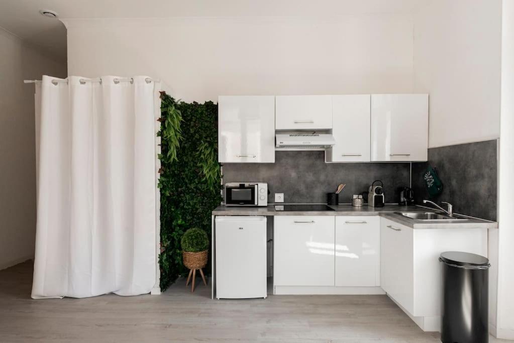 Charmant Studio Arbore Et Climatise Carcassonne Exterior photo